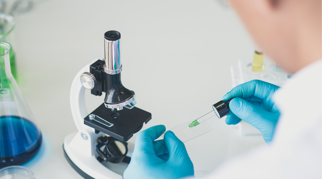 Understanding GMP, Lab-Tested, and Vegan Labels — What Do They Mean?