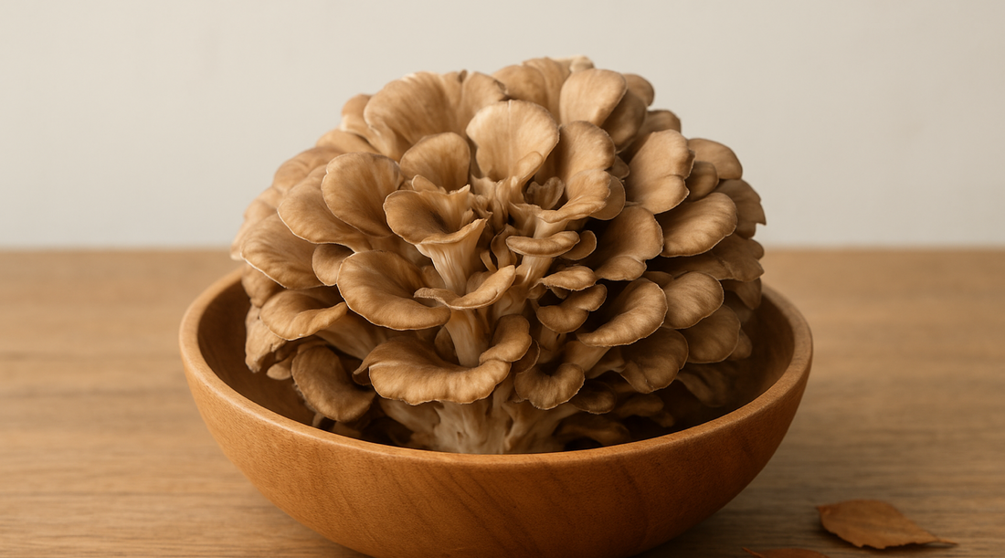 Maitake: The Functional Mushroom Rising in Global Nutrition