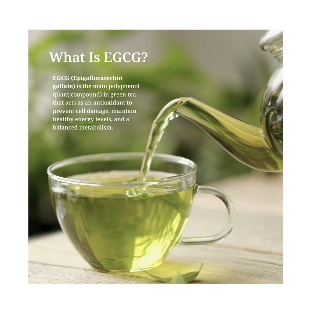 EGCg