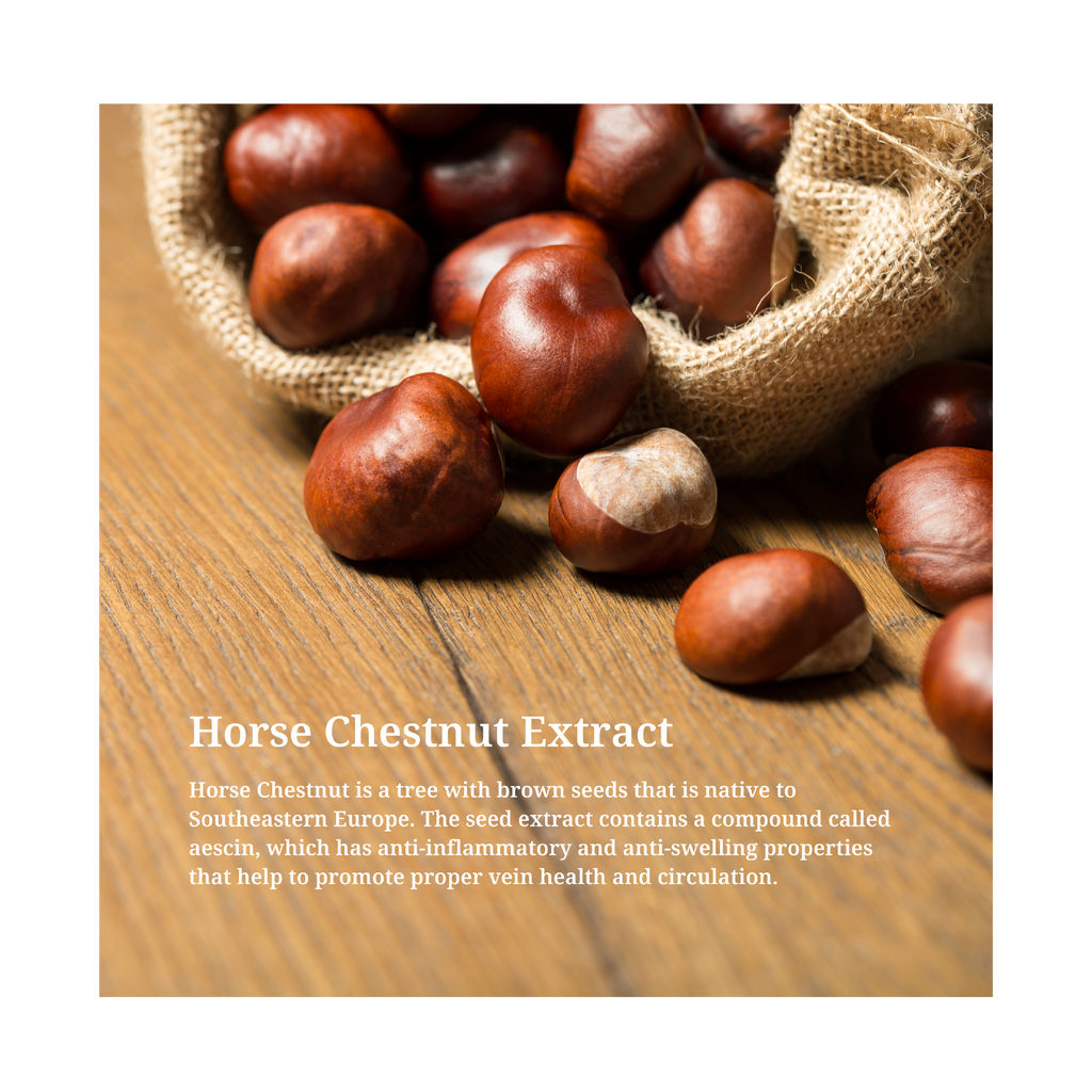 Horse Chestnut