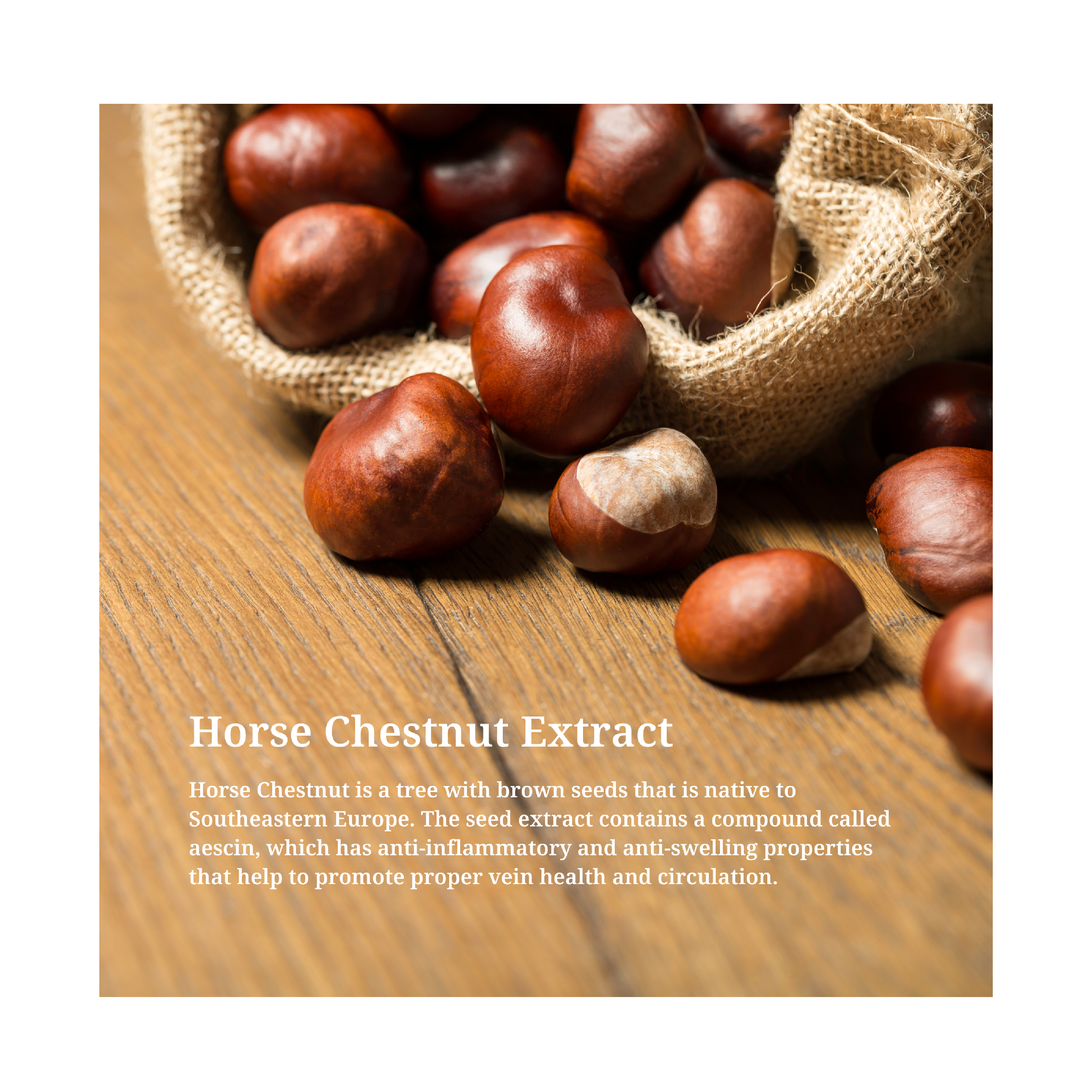 Horse Chestnut