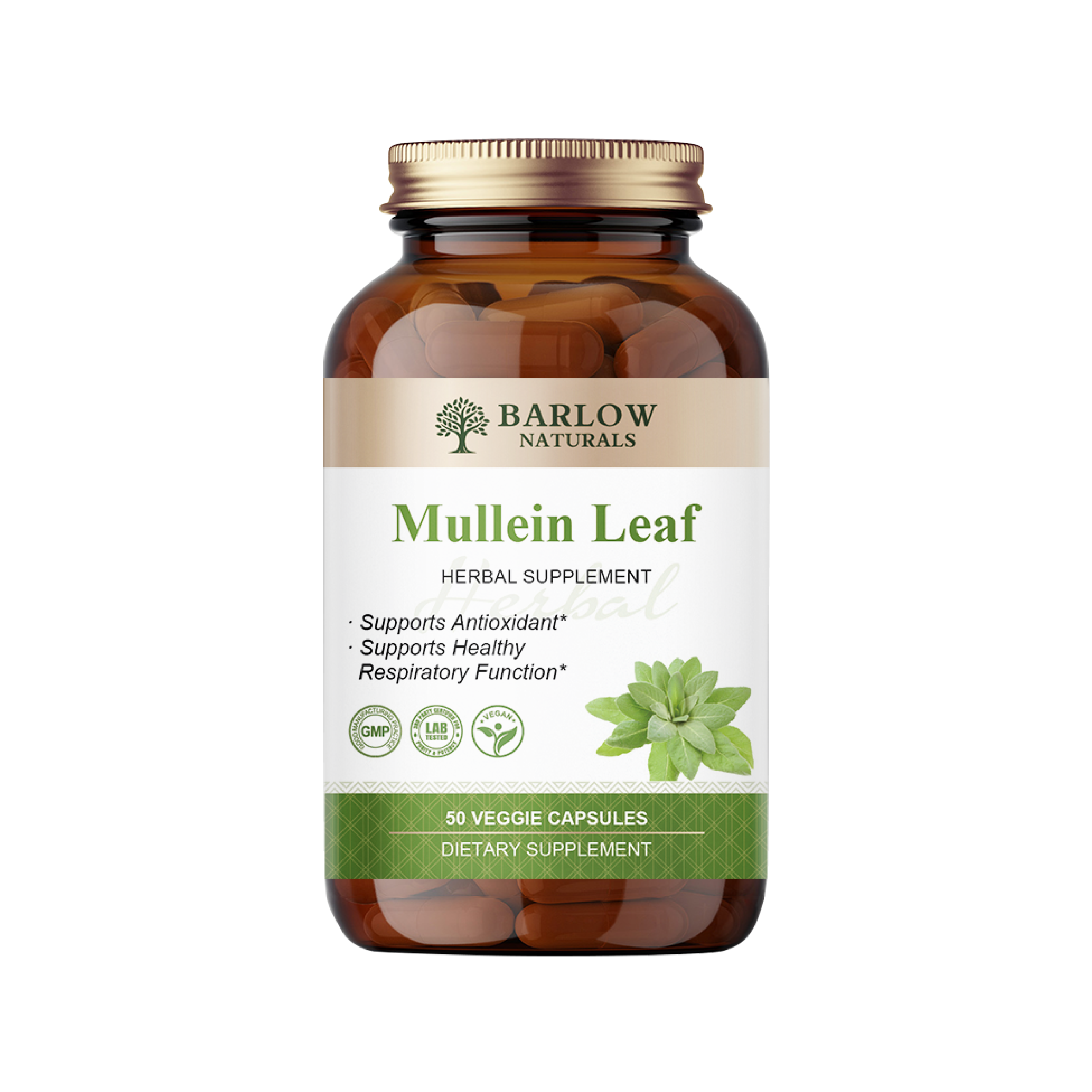 Mullein Leaf